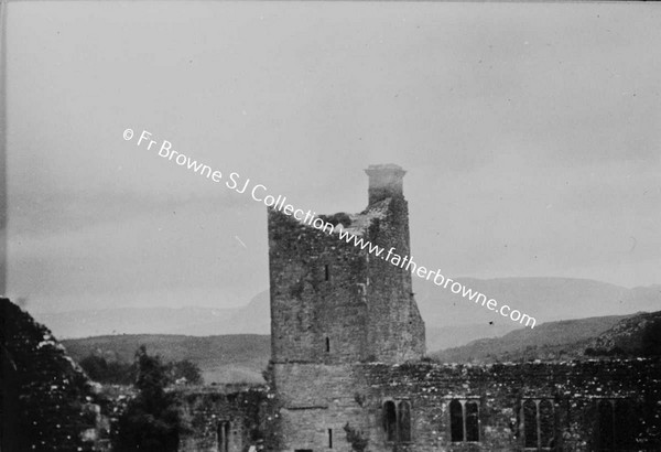 CREVALEA FRIARY  CENTRAL TOWER FROM SOUTH